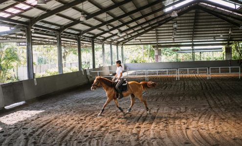 Jak wybrać odpowiednią halę jeździecką dla naszych koni?